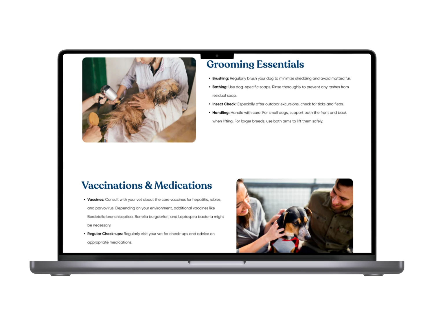 Portfolio image