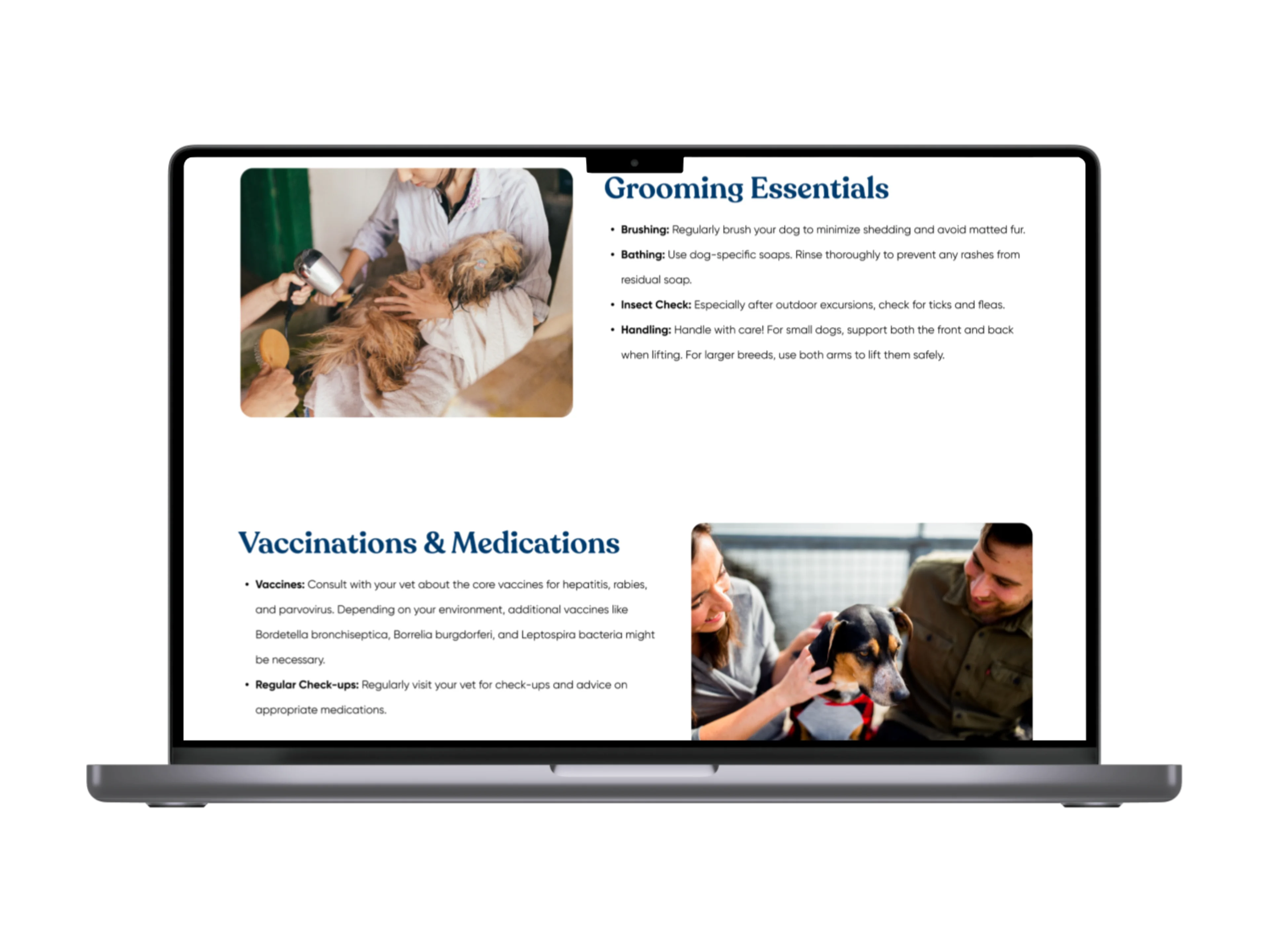 Portfolio image