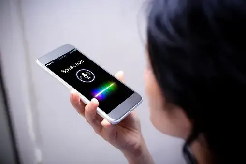 VOICE