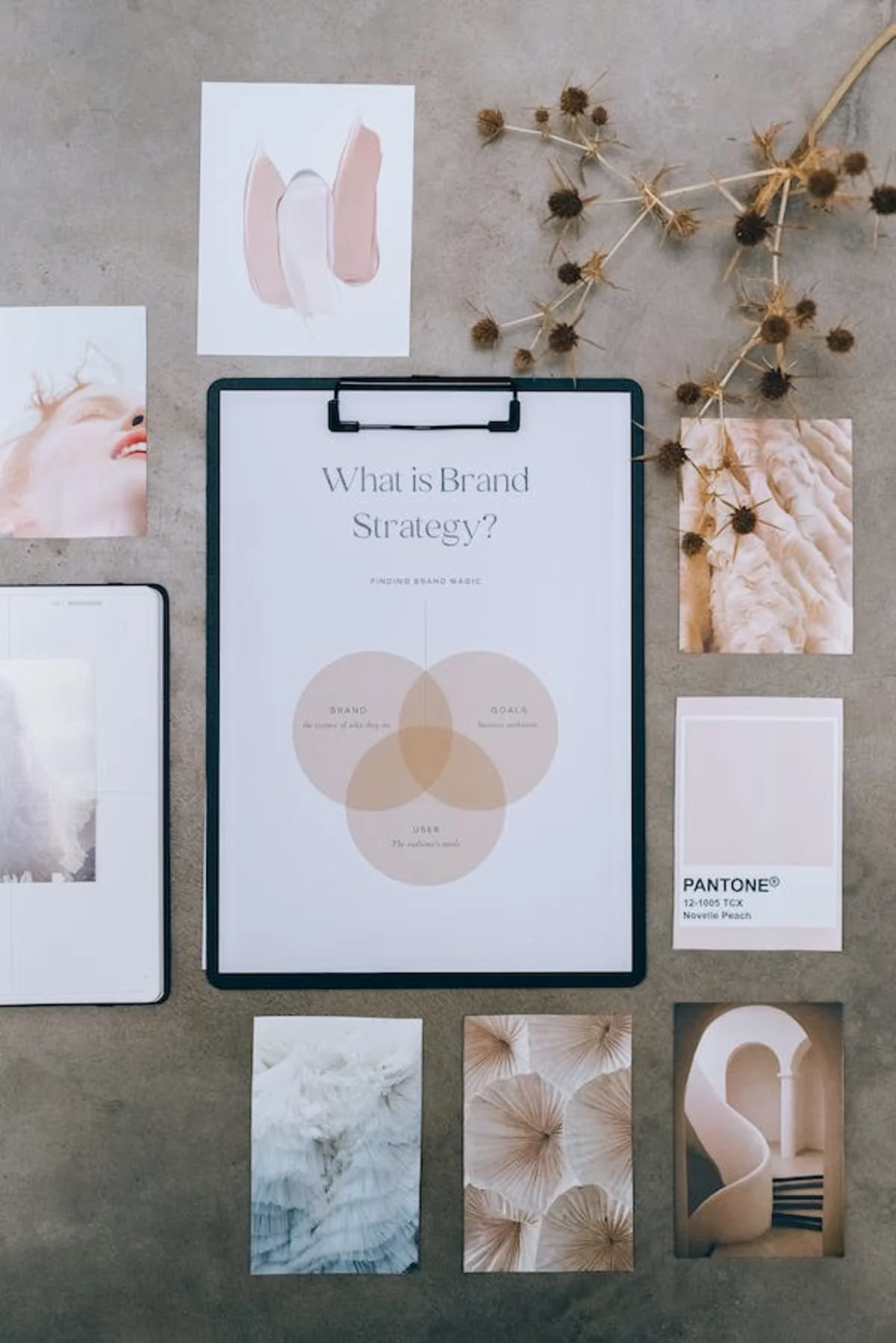 How website design can reflect a startup's brand identity and values?