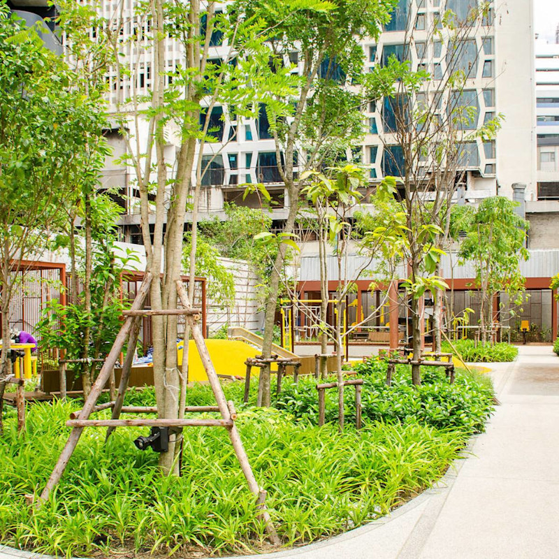 community park in Bangkok