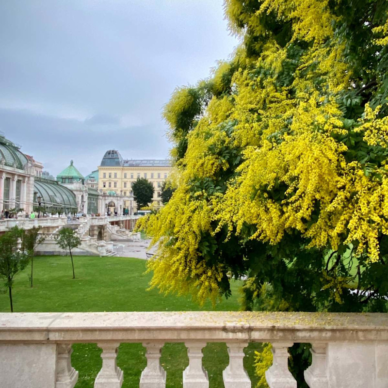 A park setting in Vienna