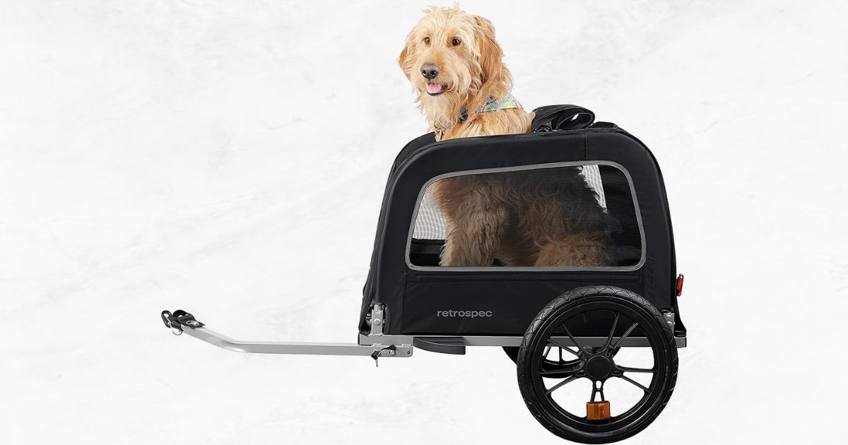 best-bike-carriers-for-pets-a-comprehensive-bike-carrier-buying-guide