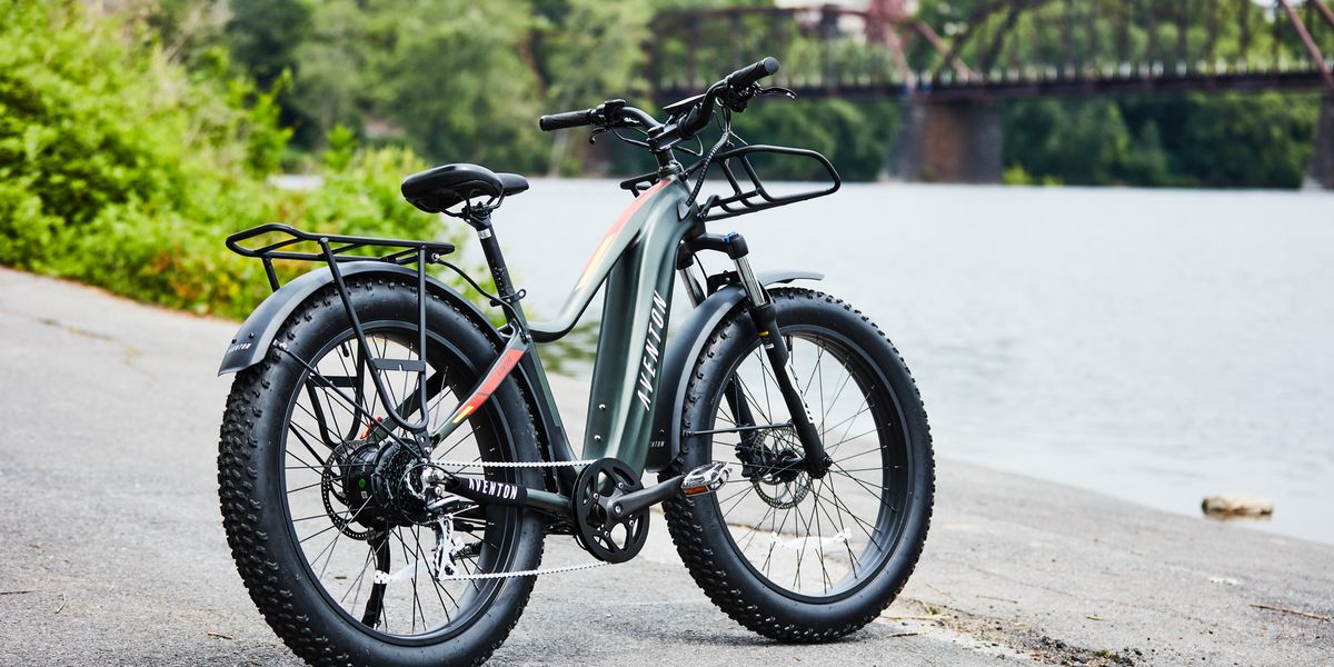 💸 More Subsidies, More Ebikes