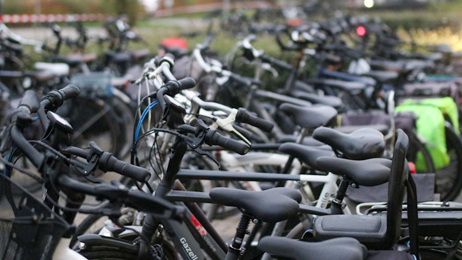 Go electric or stick to pedal power?