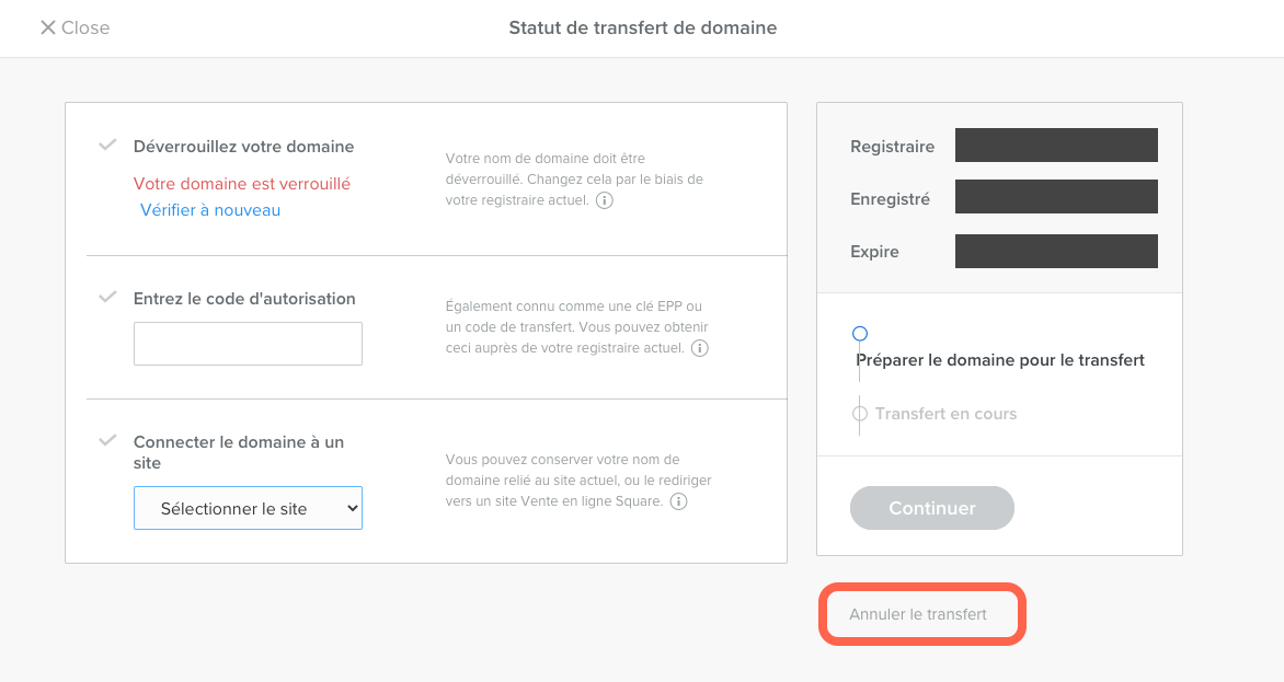 Cancel-Domain-Transfer-to-Square-FR