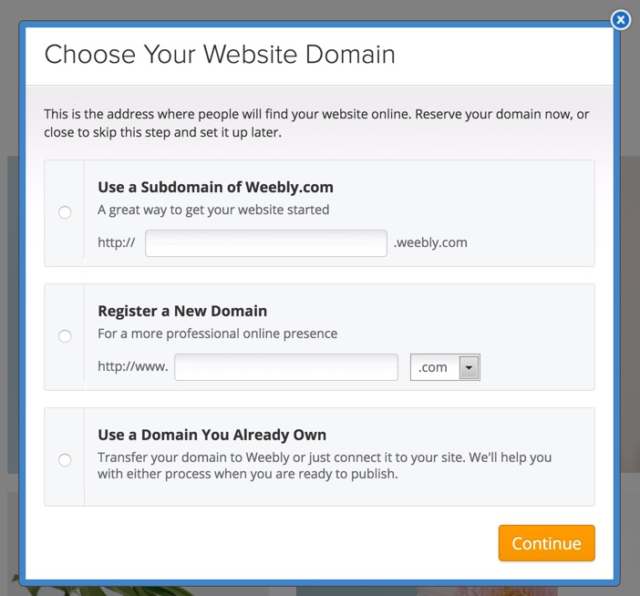 first-steps-choose-domain