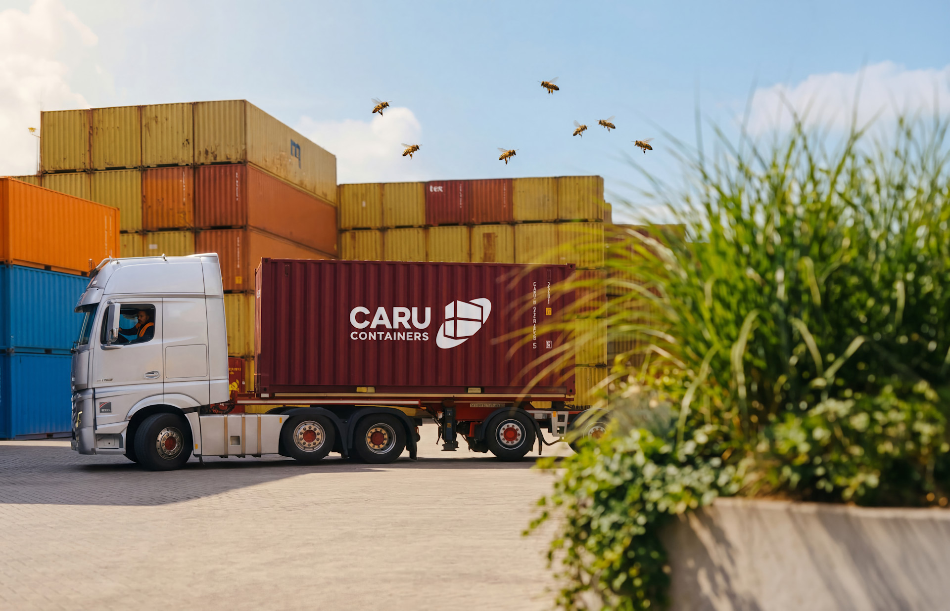 Caru container Backgrounds Gemini 3.1 Flash (Nano Banana 2) 2026-03-16 15-19-02topaz-