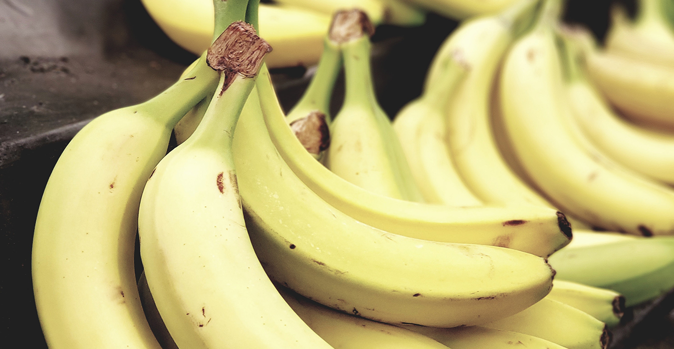 caru-containers-wat-past-er-in-container