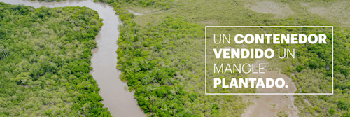 2025077 CARU Tree Campaigns-banners-v42