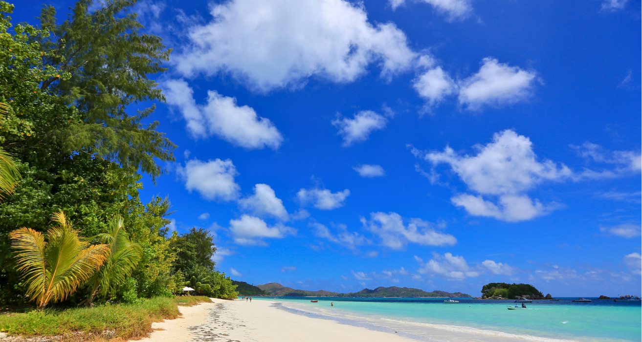 rose-island-bahamas-excursions-coastline