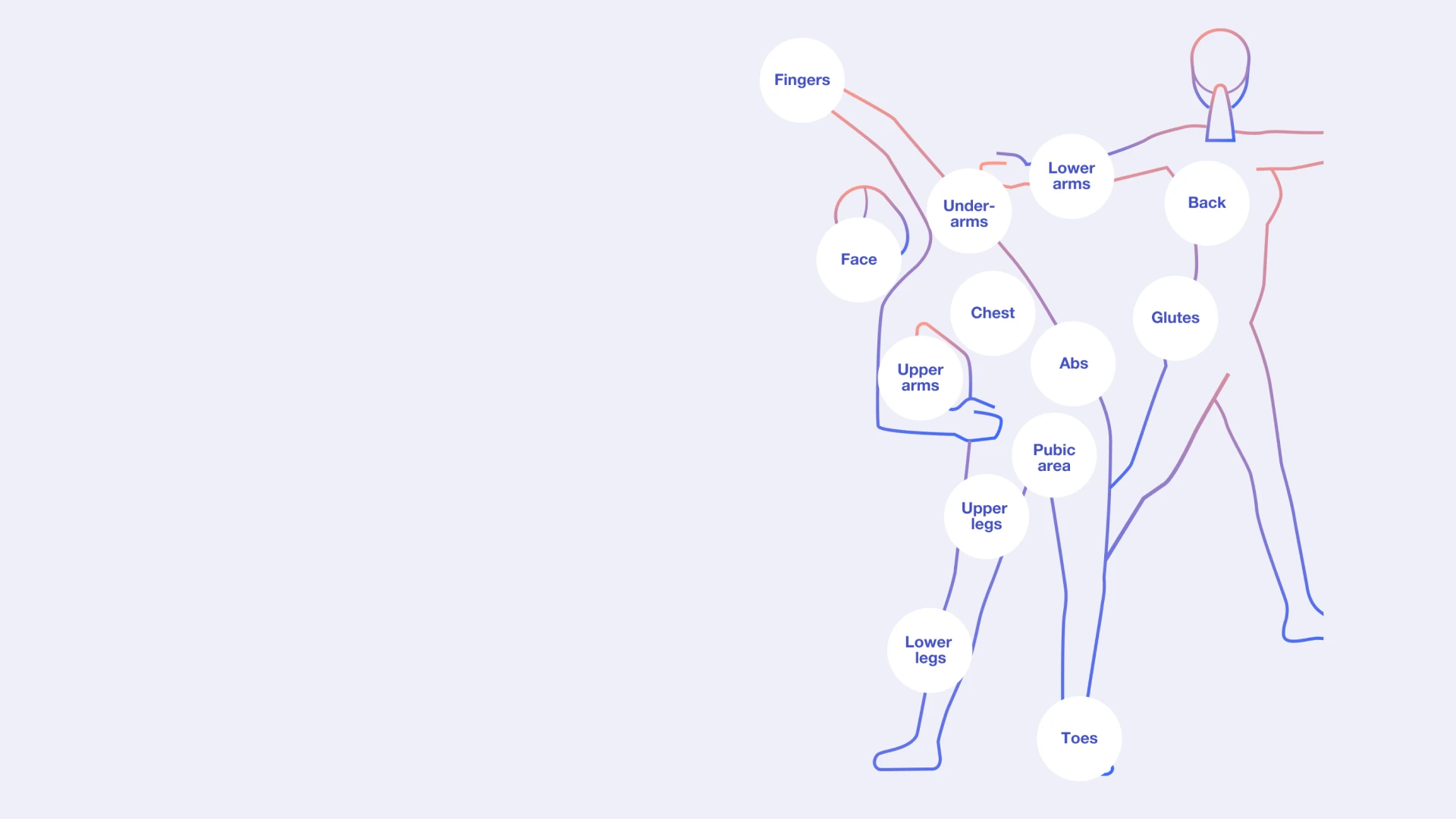 Graphic showing all bodyparts where IPL can be used