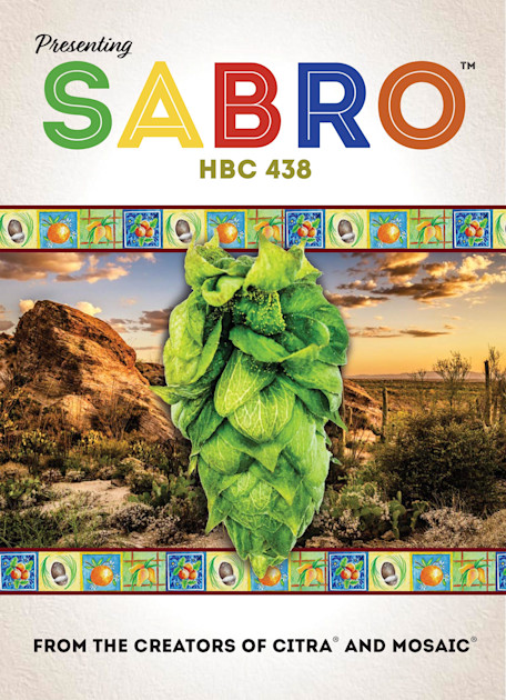 Hop Breeding Company Introduces New Flavor Hop Sabro™ | Brewing ...