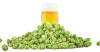Learning the Love Language: How Even the Smallest Breweries Can Evaluate Their Hops Image