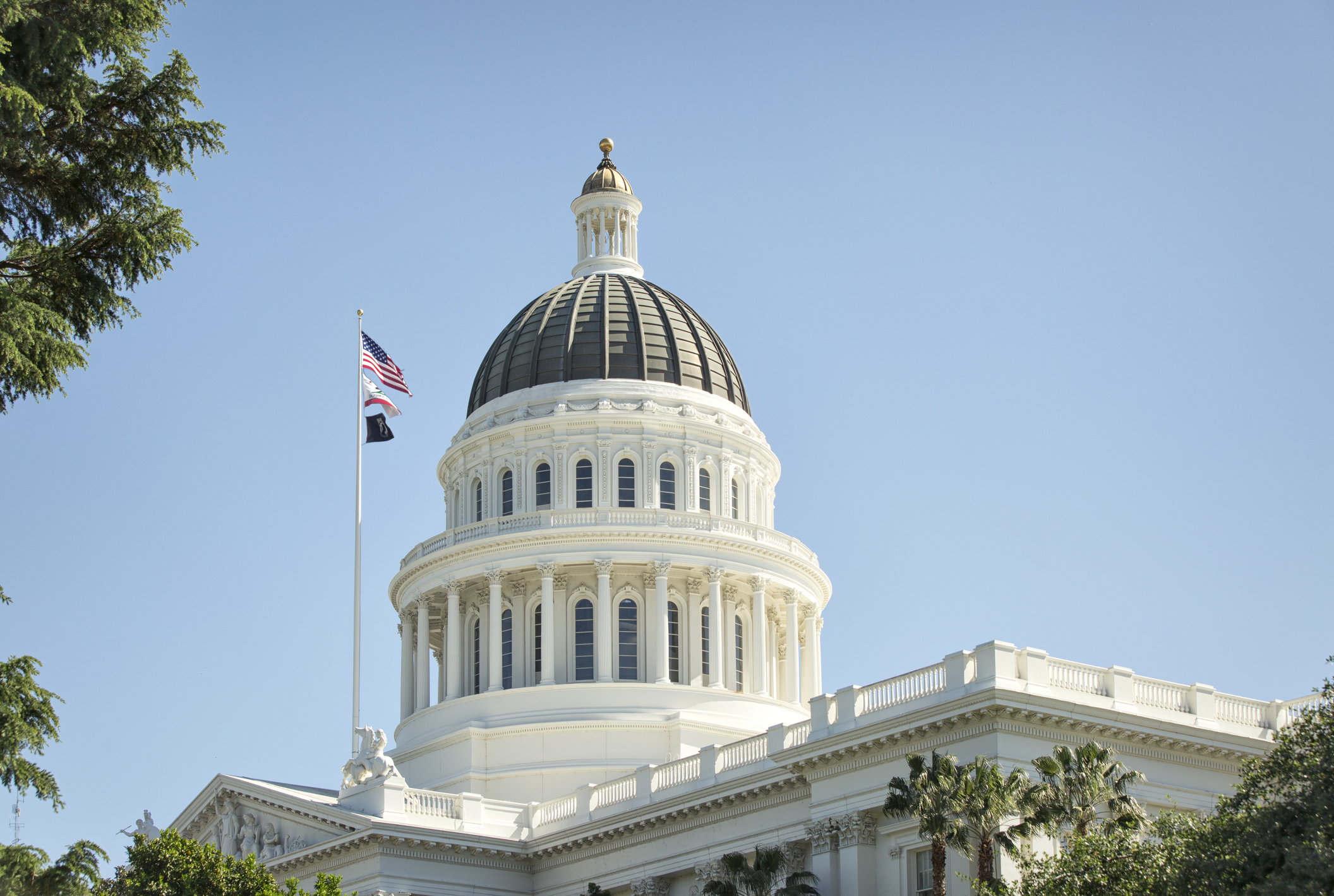 Here Are Some Key New California Laws Taking Effect on Jan. 1, 2025