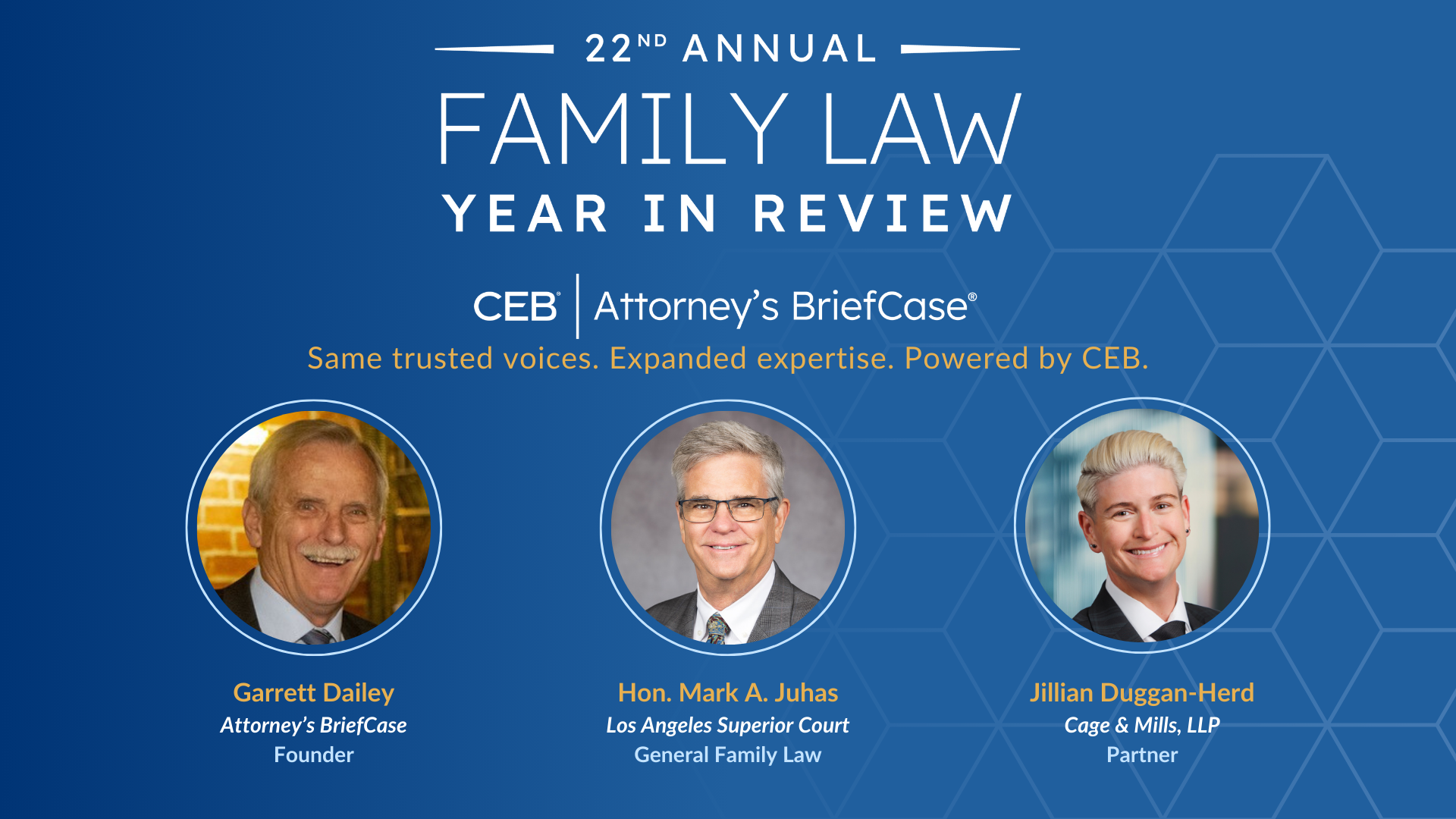22nd Annual Family Law Year in Review