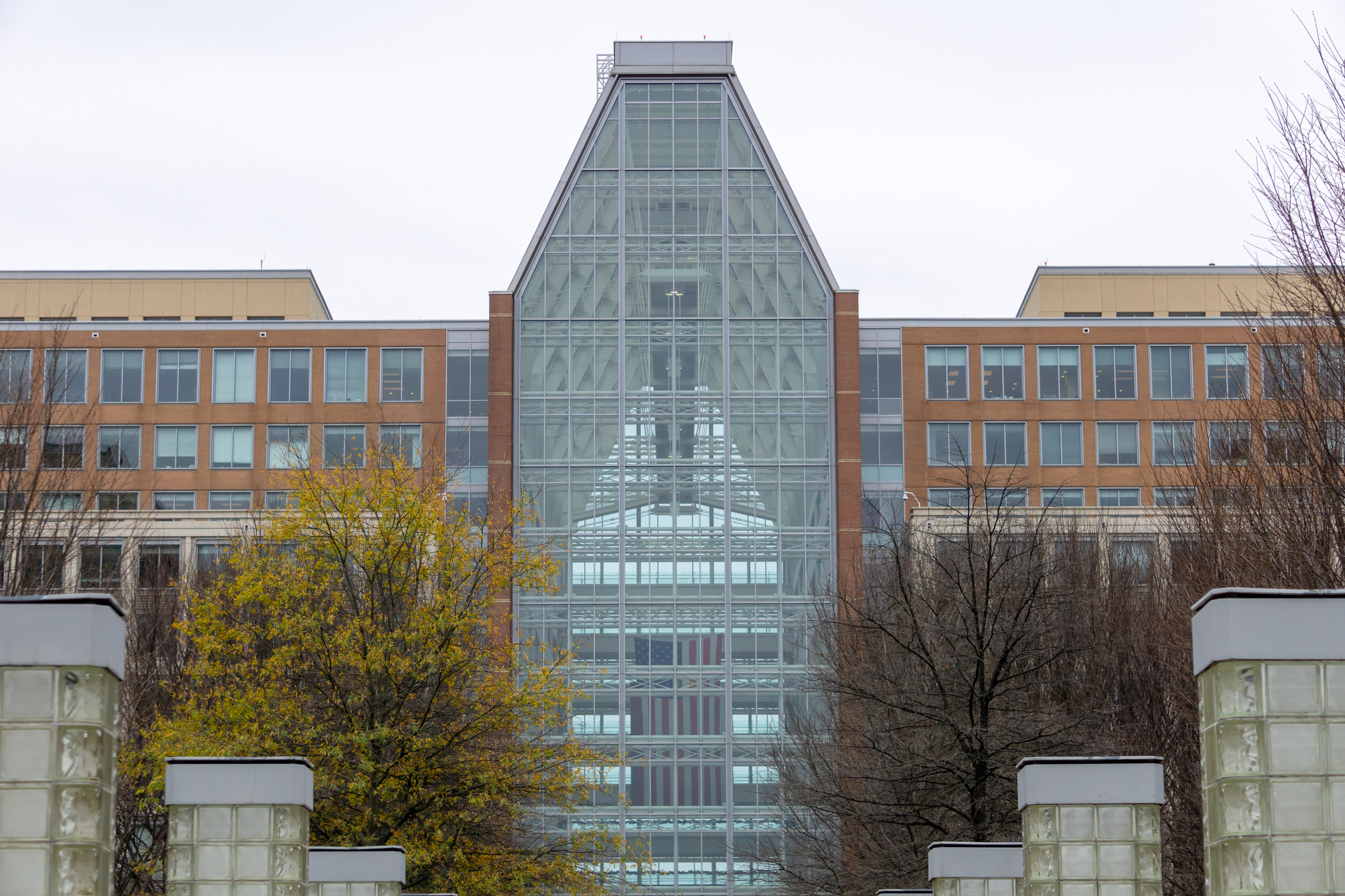 Keeping your registration alive | USPTO