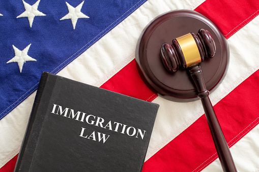 Drafting A Criminal History Chronology For An Immigration Cover Letter   Immigration Law 