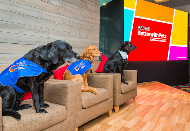Nestlé Purina PetCare - BetterwithPets Forum
