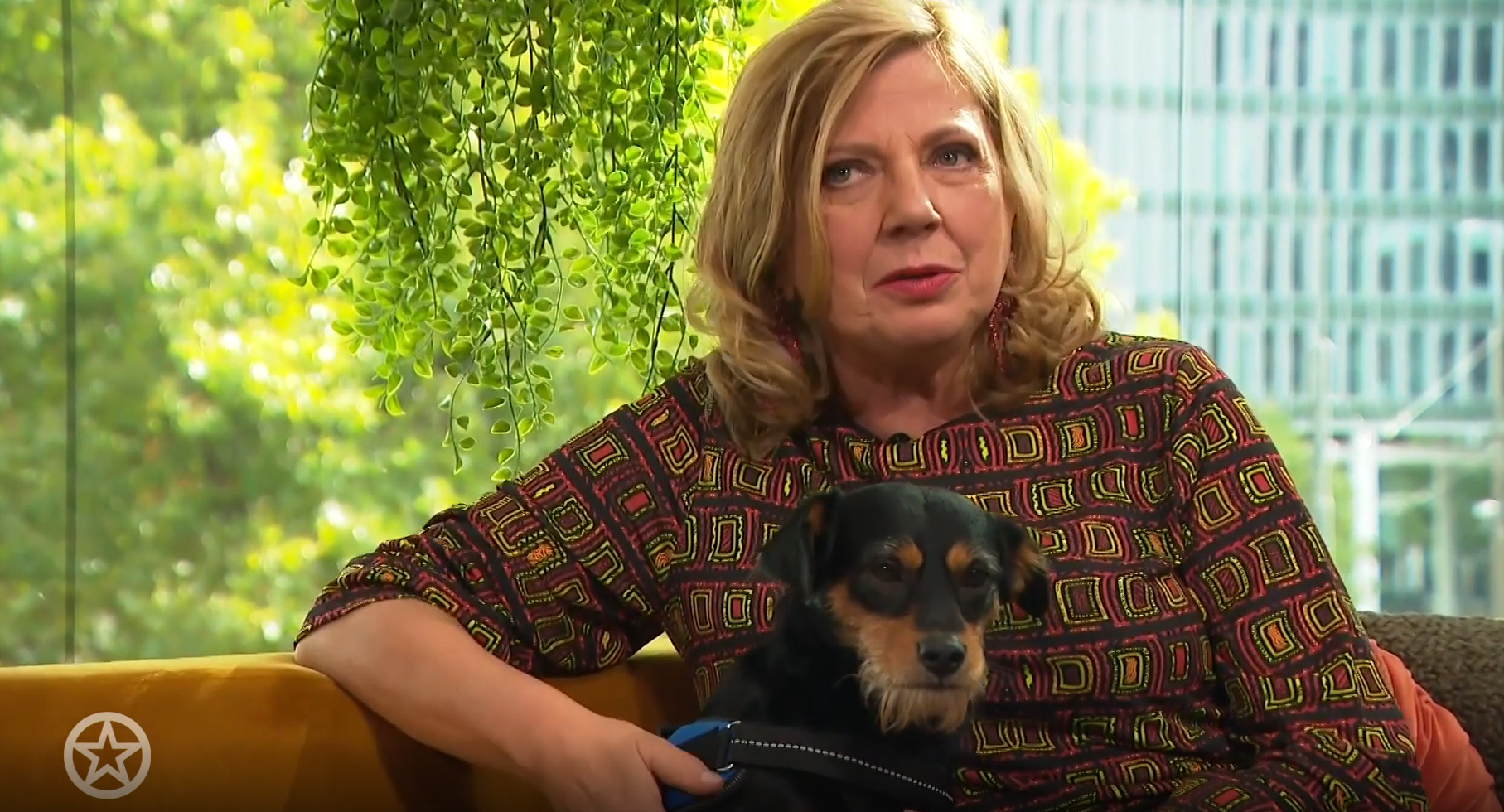 Loretta Schrijver veranderde naam hond om pikante reden | Shownieuws
