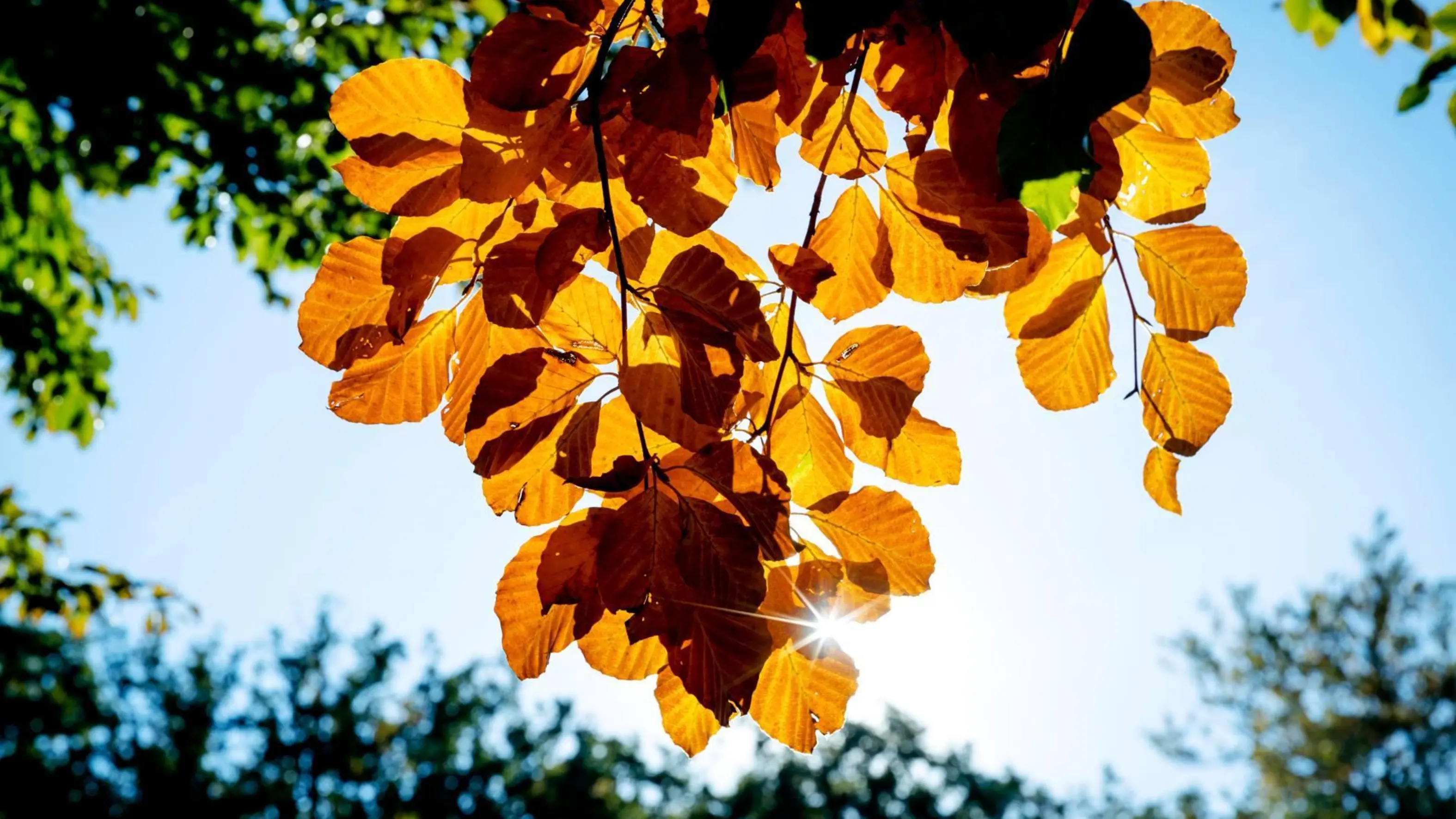 Dj En Muziekproducer Erick Morillo 49 Overleden