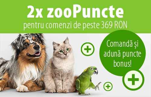 Magazin De Caini Hrană Accesorii Caini La Zooplus