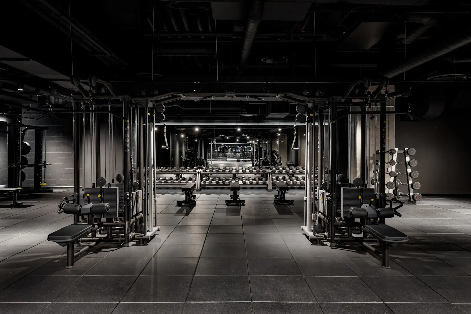 Gym, Free Weight Section