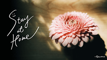 Stay at Home　おうち時間