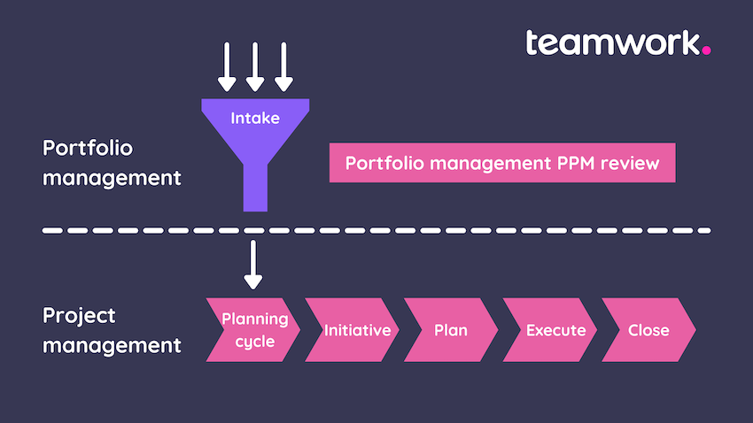 Portfolio Management vs Project Management graphic