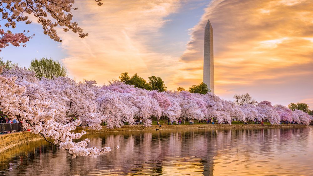 washington-dc-monument