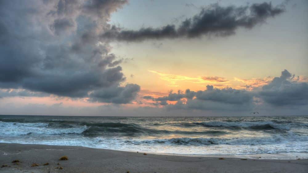 Beach at Melbourne, Florida