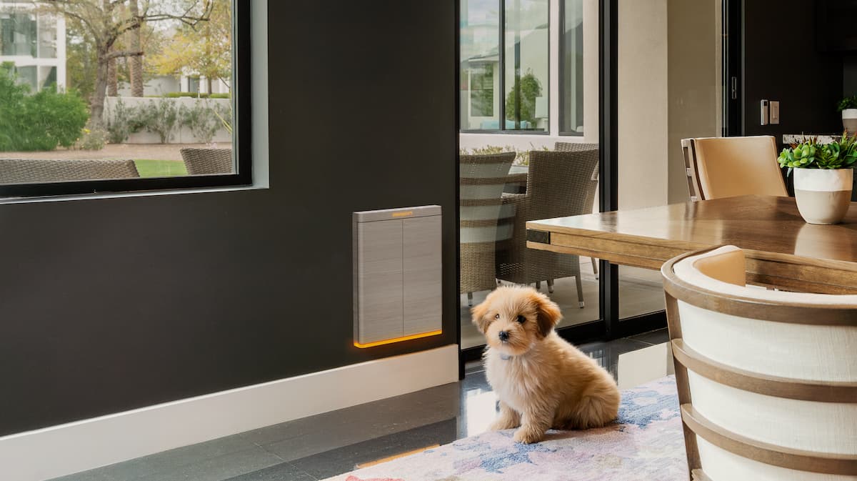 Indoor Scene DiningRoom Pup