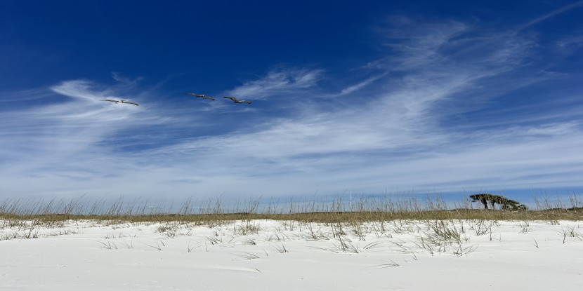 Beautiful blue skies over white sand dunes