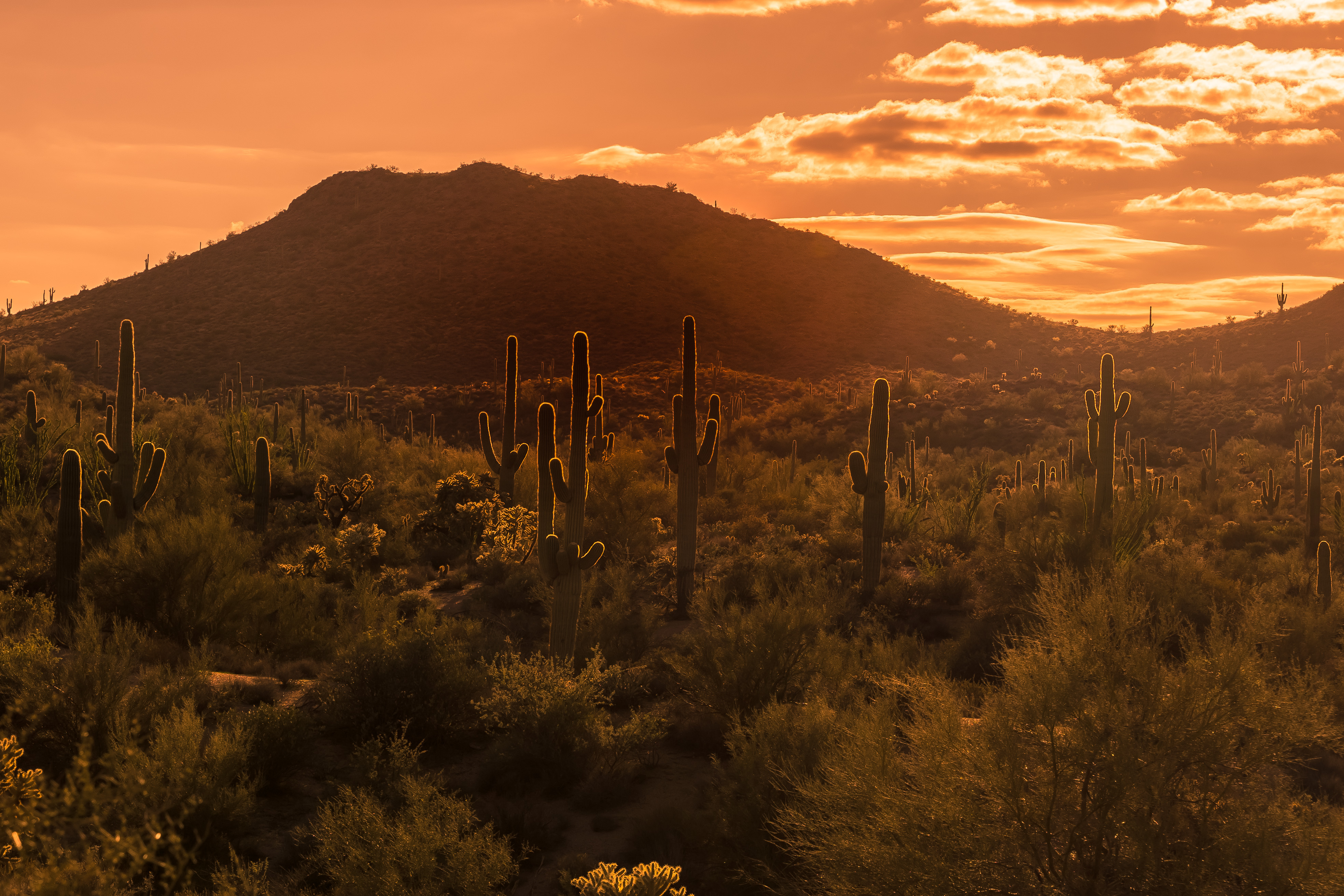 Beautiful sunset over an Arizona desert landscape
