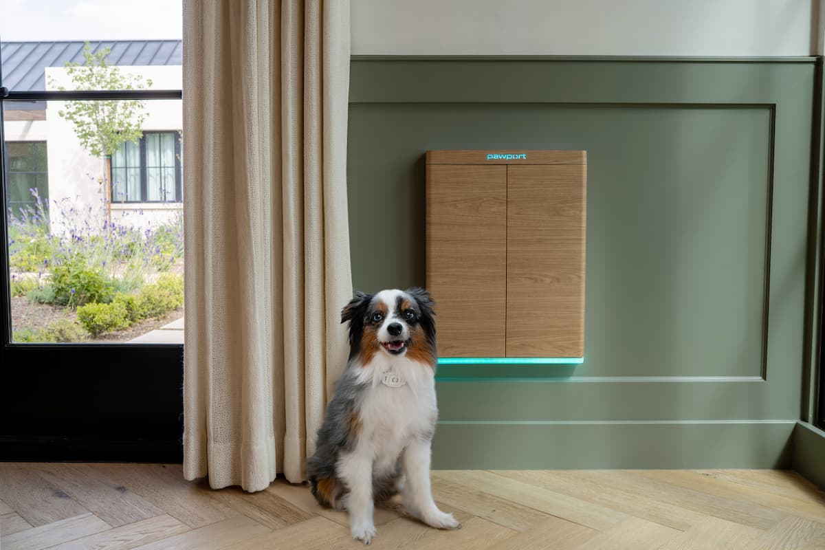 Pawport small dog door