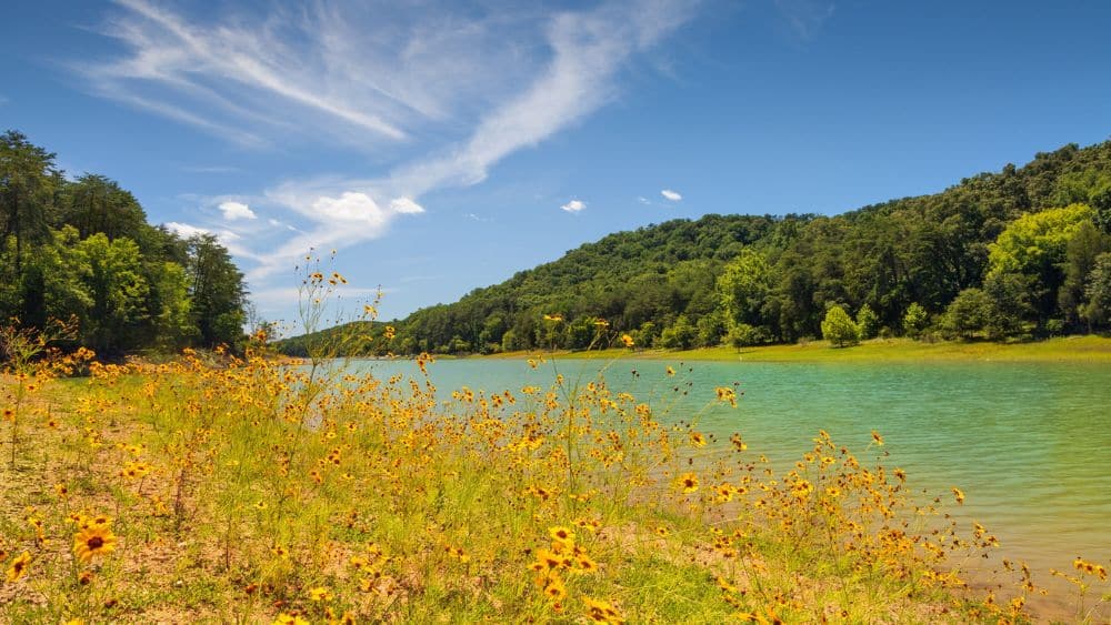 Water view in Panther Creek State Park