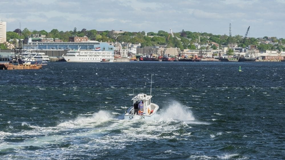 A small speedboat coasting across choppy waters. The shoreline in the background shows houses and trees.