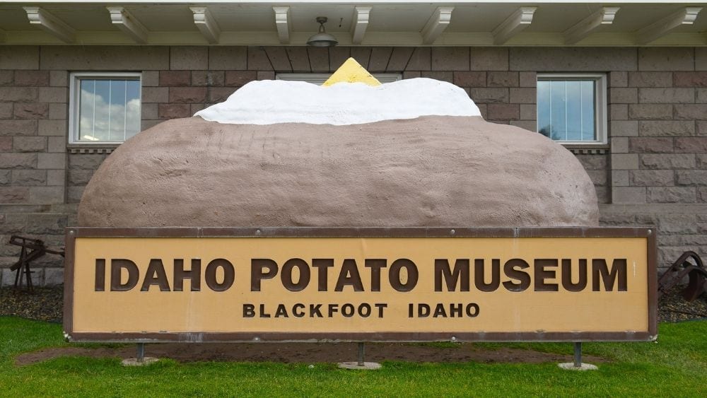 idaho-potato