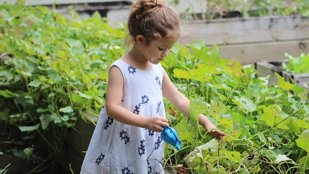 little-girl-looking-at-plants
