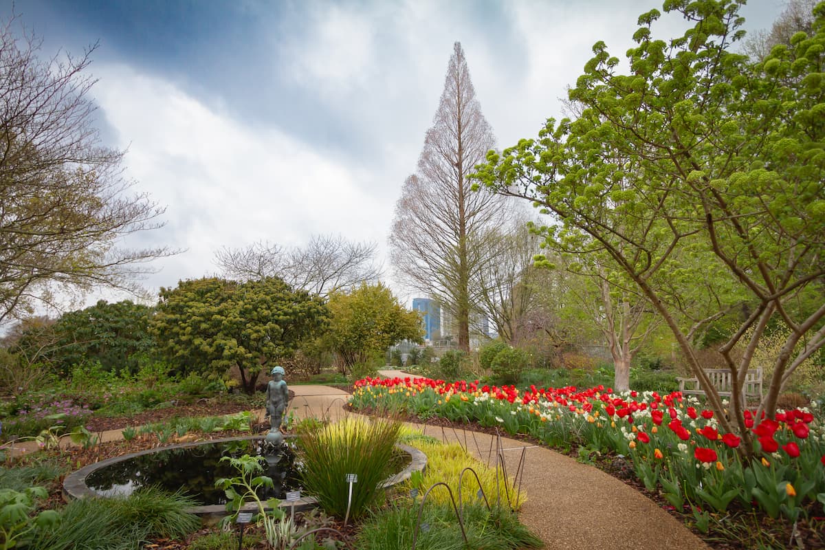 Manicured path with an array of plants at a botanical garden