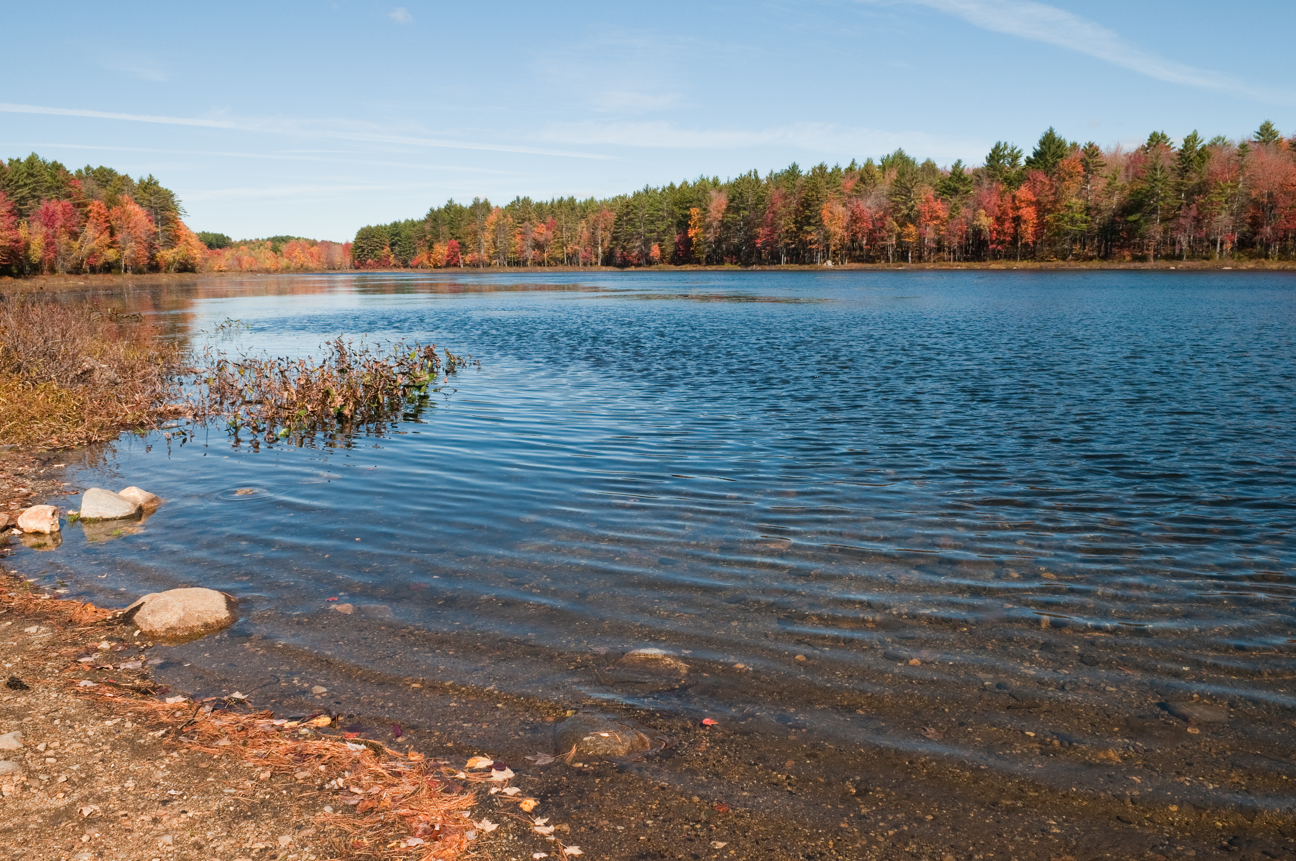 Tree lined reservoir in the fall in New Hampshire