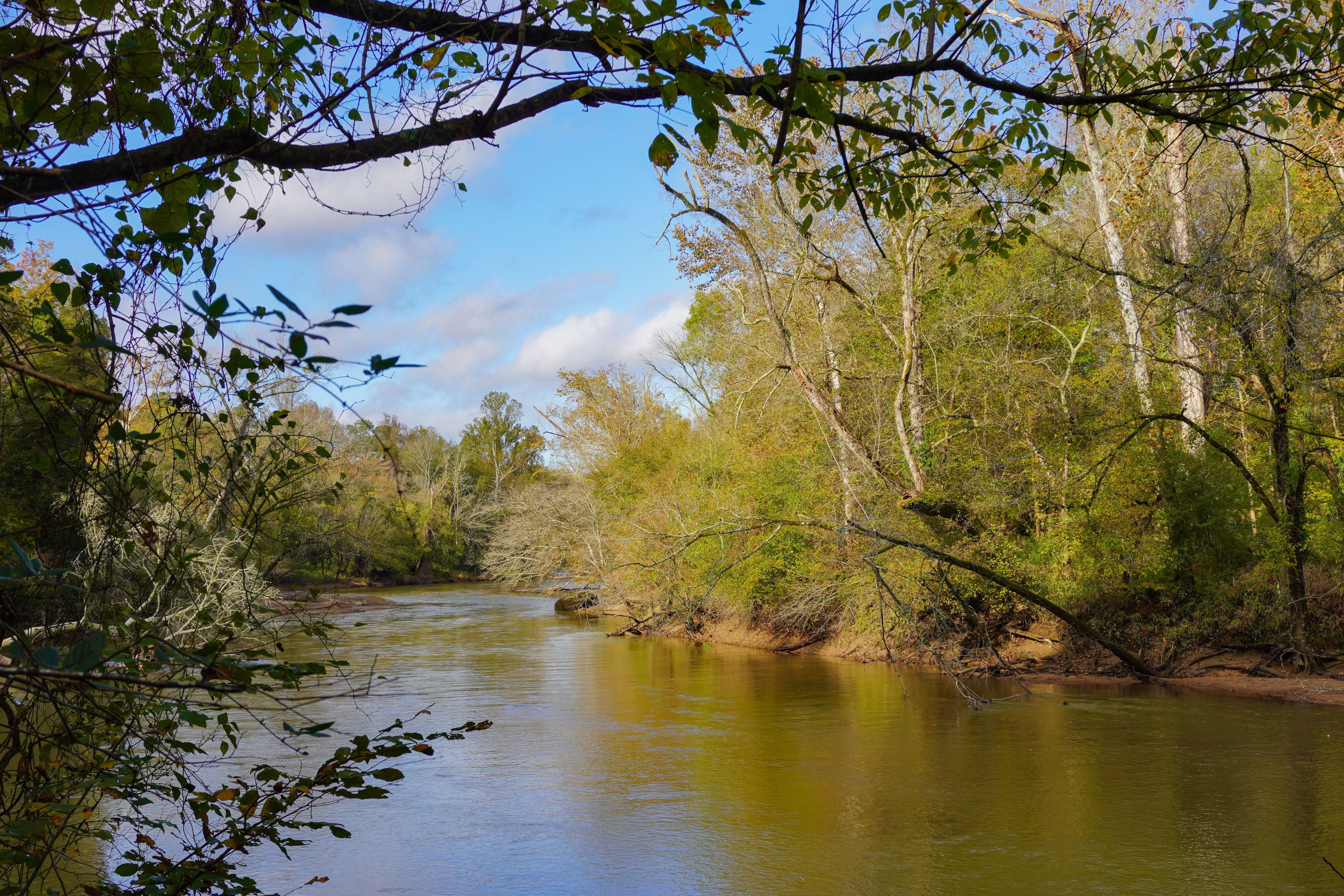 Neuse-river-north-carolina