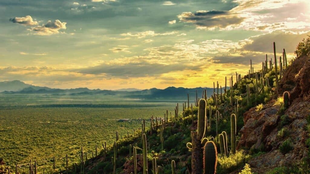 drexel-heights-tucson-arizona-dreamstime_l_99451130-min-1024x576