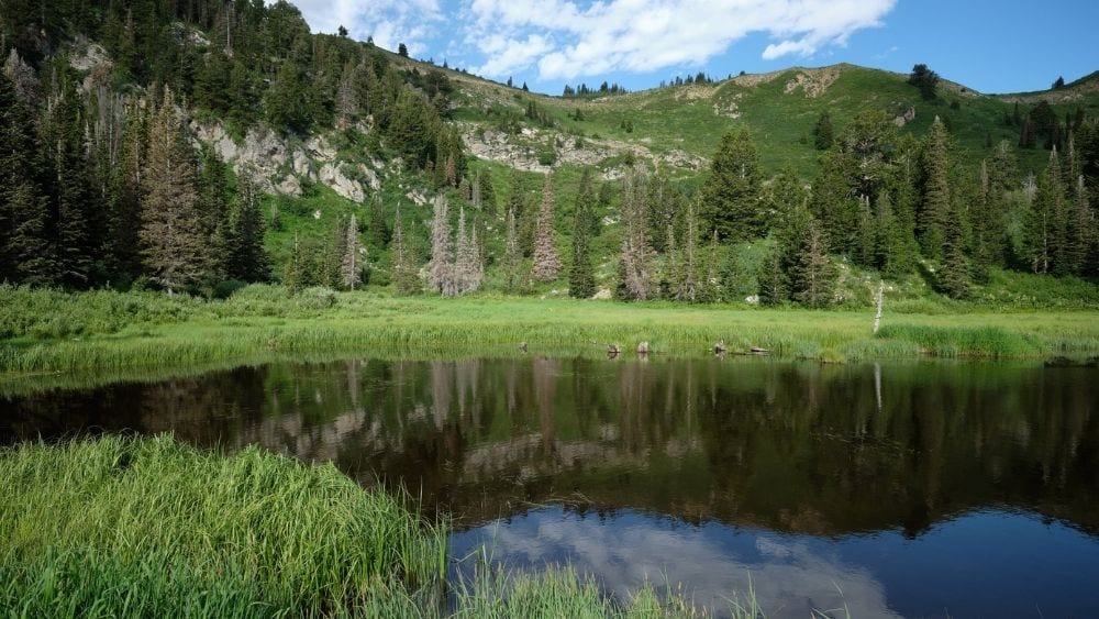 Pond on Skyline Drive in Davis County, Utah.