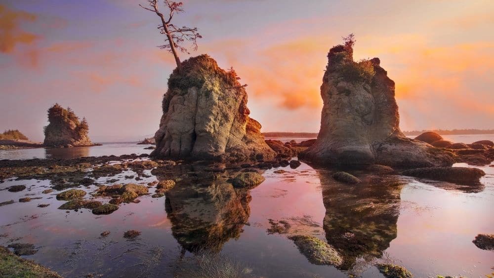 oregon-coast