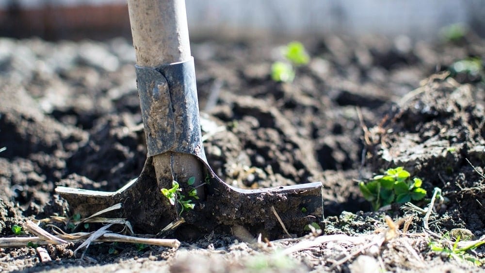 shovel-in-ground