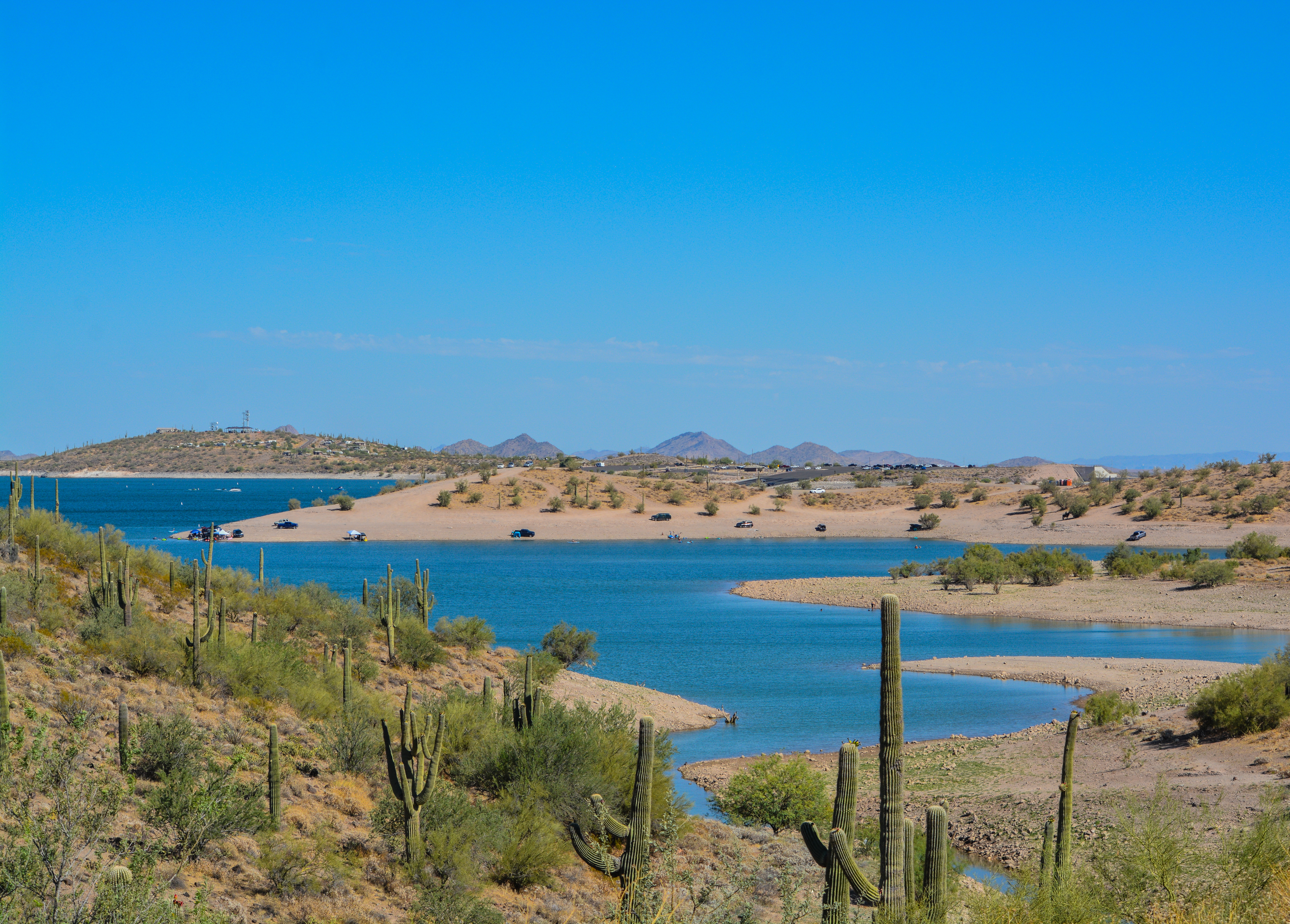 Lake with beach among cactus in the desert