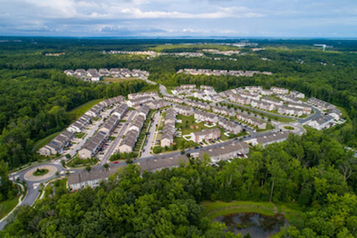 aerial view of trees surrounding a neighborhood in Maryland
