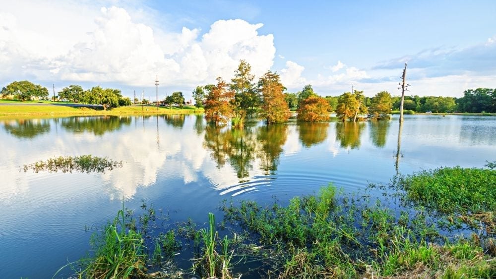 Bayou in Lafayette, Louisiana