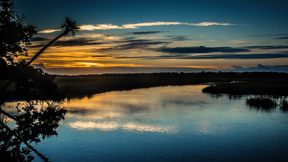 edisto-beach-state-park